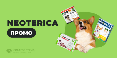 Промо по NEOTERICA    