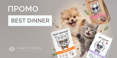 Промо от Best Dinner