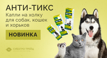 Новинка! АНТИ-ТИКС капли на холку для собак, кошек и хорьков