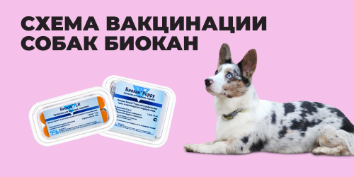 Вакцина для собак l