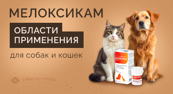 Области применения Мелоксикама для собак и кошек