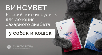 Винсувет - российские инсулины для лечения сахарного диабета у кошек и собак