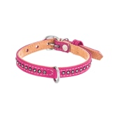 Ошейник цветной с украшением стразы 10/320