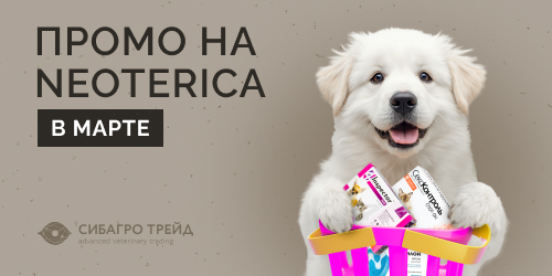 Промо на NEOTERICA в марте