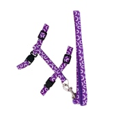 Набор для кошек поводок (120 * 1 см)+шлейка, микс, NUNBELL