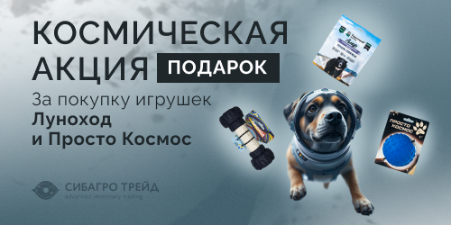 Космическая акция: подарок за покупку игрушек Луноход и Просто Космос