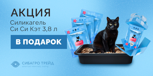 Силикагель Си Си Кэт 3,8 л в подарок
