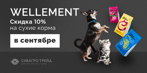 -10% на сухие корма Wellement в сентябре