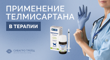 Применение телмисартана в терапии