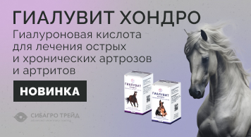 Новинка! Гиалувит Хондро - гиалуроновая кислота для лечения острых и хронических артрозов и артритов