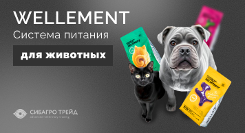 Wellement - система питания для животных