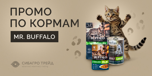 Промо по кормам MR.BUFFALO   