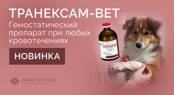 Новинка! Транексам-ВЕТ - гемостатический препарат при любых кровотечениях