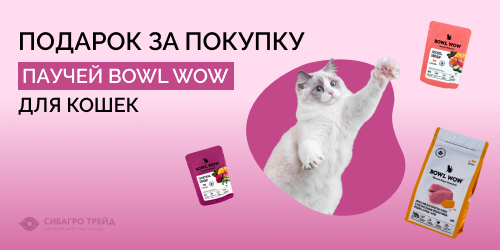 Подарок за покупку паучей BOWL WOW