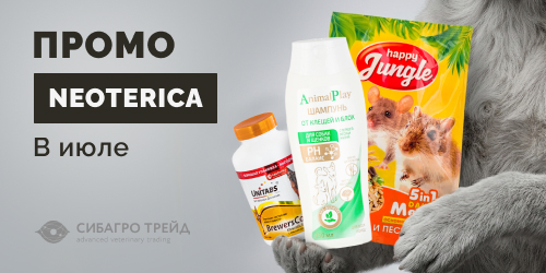 Промо на NEOTERICA в июле