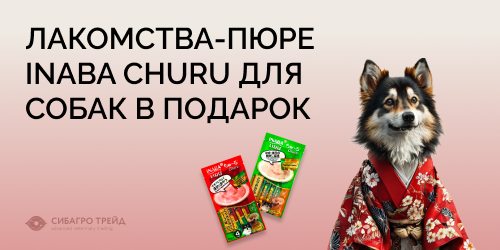 Лакомства-пюре INABA Churu для собак в подарок