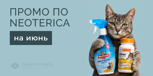 Промо по Neoterica на июнь