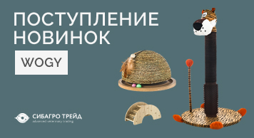 Поступление новинок WOGY