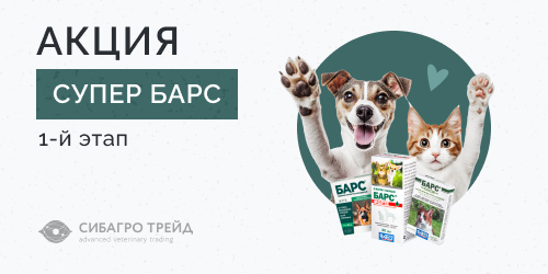 Акция! Супер Барс - 1-й этап