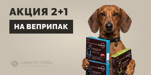 Акция на Веприпак 2+1