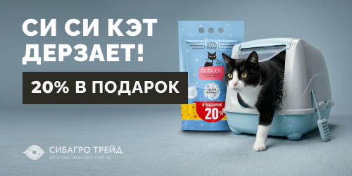 Си Си Кэт дерзает!