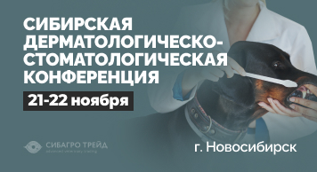 Анонс! Сибирская дерматологическо-стоматологическая конференция 21-22 ноября в Новосибирске