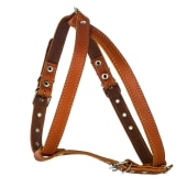 Шлейка кожаная малая универсальная. ЧК.