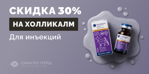 Скидка 30% на Холликалм для инъекций