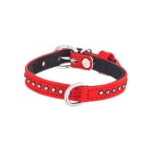 Ошейник цветной с украшением стразы 10/260