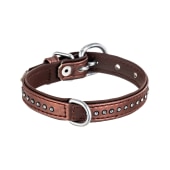 Ошейник цветной с украшением стразы 17/320