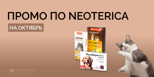 Промо по NEOTERICA на октябрь