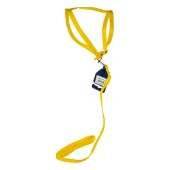 Комплект шлейка (ОШ до 25 см) и поводок (1,2 м), 1,2 см, ЖЁЛТЫЙ, ДАРЭЛЛ