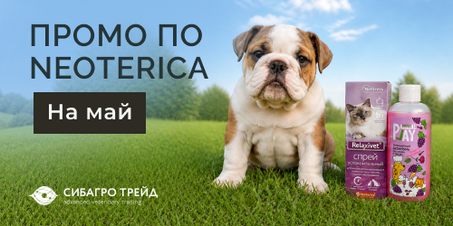 Промо на NEOTERICA на май