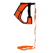 Комплект шлейка текстильная (сетка) размер ХL + поводок, ЧК