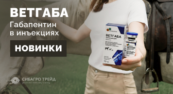 Новинка! Ветгаба - габапентин в инъекциях