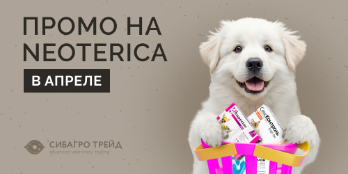 Промо на NEOTERICA в апреле