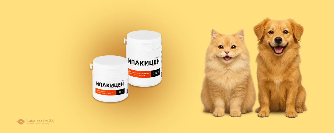 Новинка! Ипакицен - порошок для поддержания функции почек у кошек и собак Новинка! Ипакицен - порошок для поддержания функции почек у кошек и собак