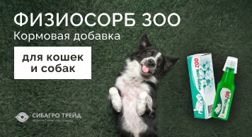 Физио-Сорб Зоо - кормовая добавка для собак и кошек
