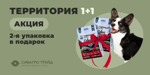 Акция! ТерриториЯ 1+1