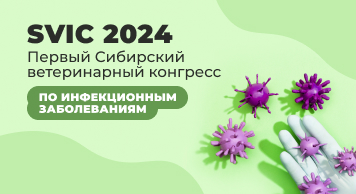 Анонс! SVIC 2024. Первый Сибирский ветеринарный конгресс по инфекционным заболеваниям