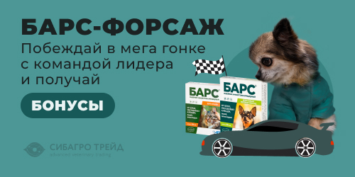 Барс - Форсаж! Побеждай в мега гонке с командой лидера