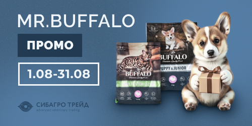 Промо по MR. BUFFALO              