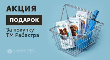 Акция! Кружка и зонт в подарок за покупку ТМ Рабектра