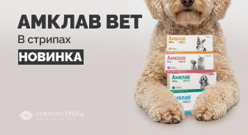 Амклав Вет в стрипах