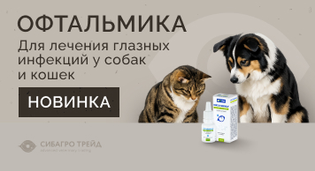 Новинка! Офтальмика для лечения глазных инфекций у собак и кошек