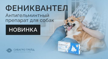 Новинка! Фениквантел - антигельминтный препарат для собак