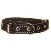 Ошейник брезентовый 20(2), ZOOМИР