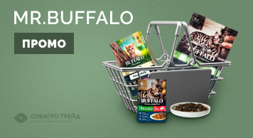 Промо MR. BUFFALO