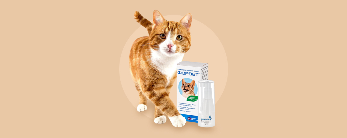 Форвет для кошек