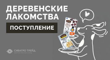 Поступление! Деревенские лакомства